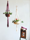 DIY Makramee Blumenampel Set zum Selbermachen