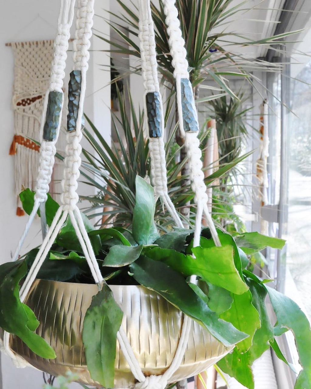 Macramé + Ceramics Workshop w/ Wine & Treats  | 4th + 23rd November 2024 | Berlin