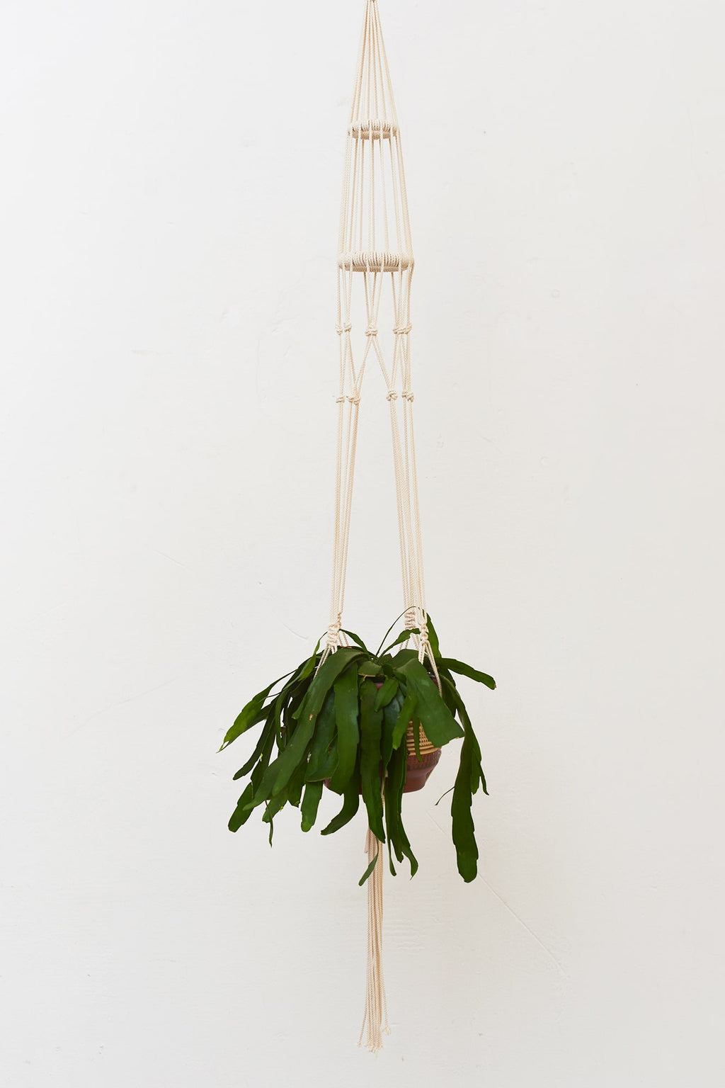 LEVI  minimalistic macramé plant hanger