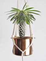BETTY classic macrame plant hanger with wooden beads in vintage look